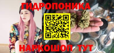 гашик Кандалакша